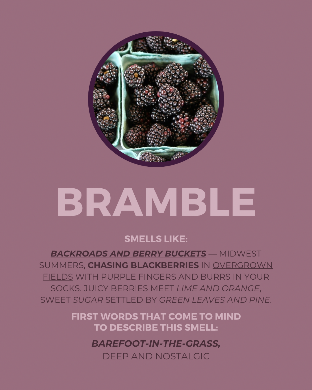 Bramble Candle