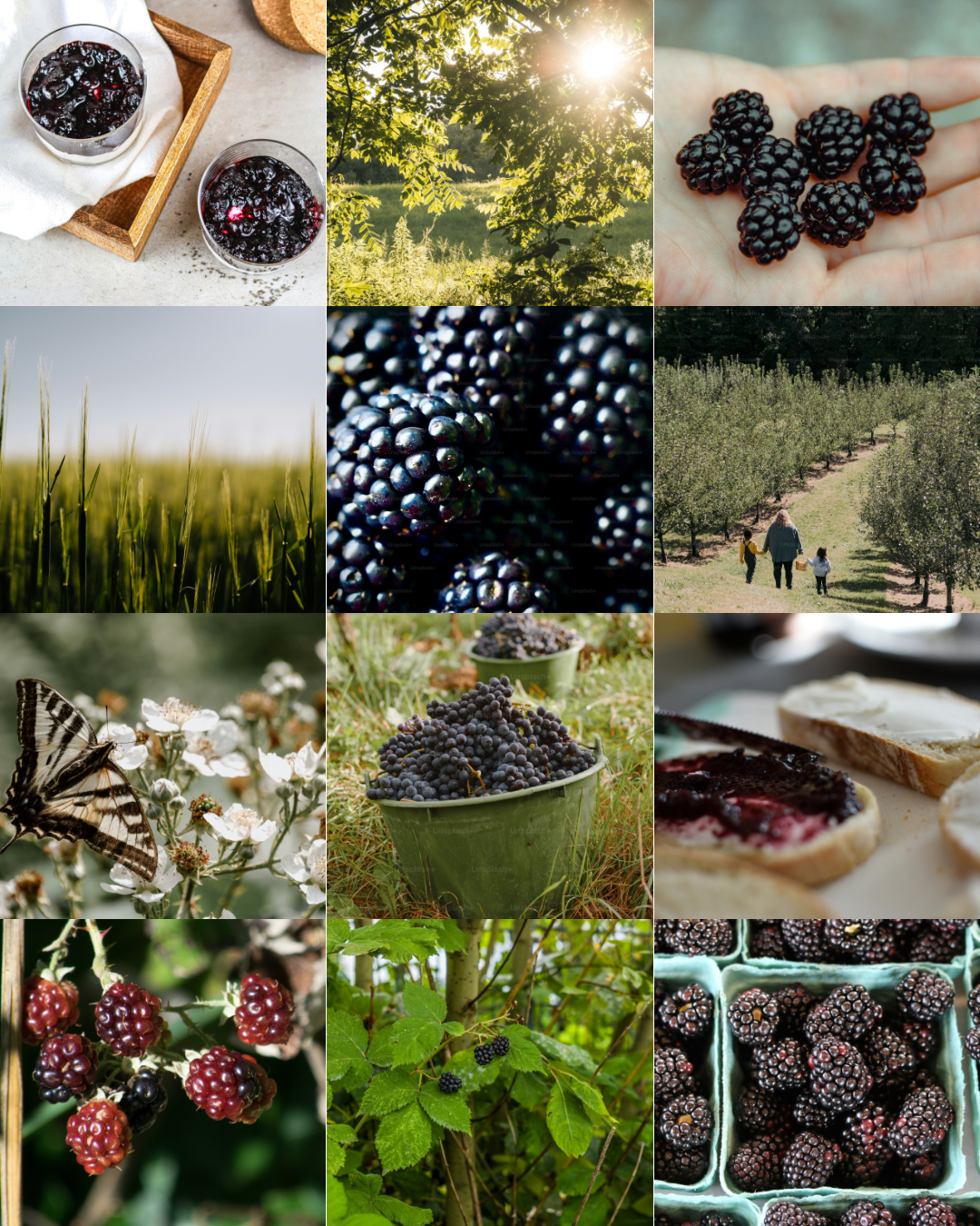 Bramble Candle