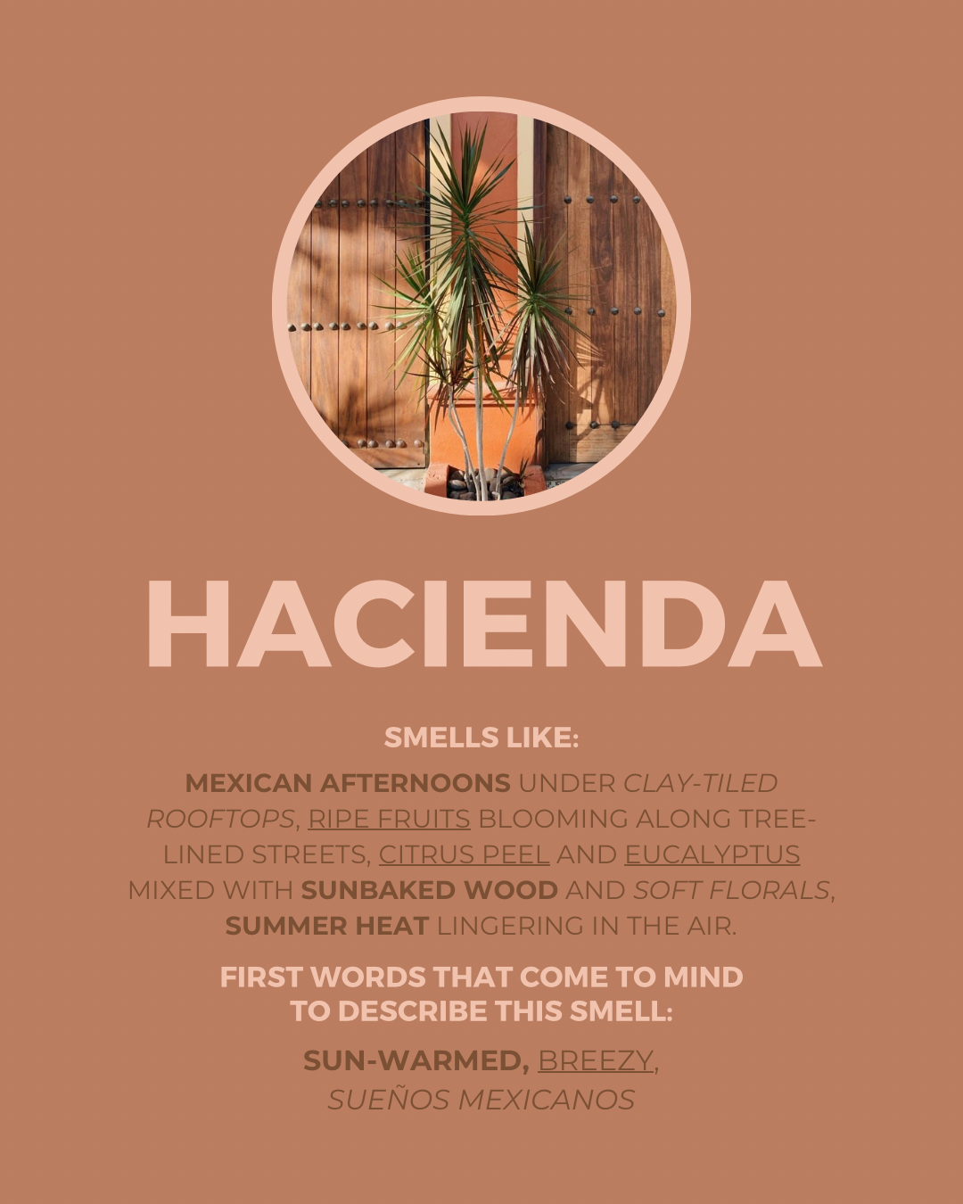 Hacienda Candle