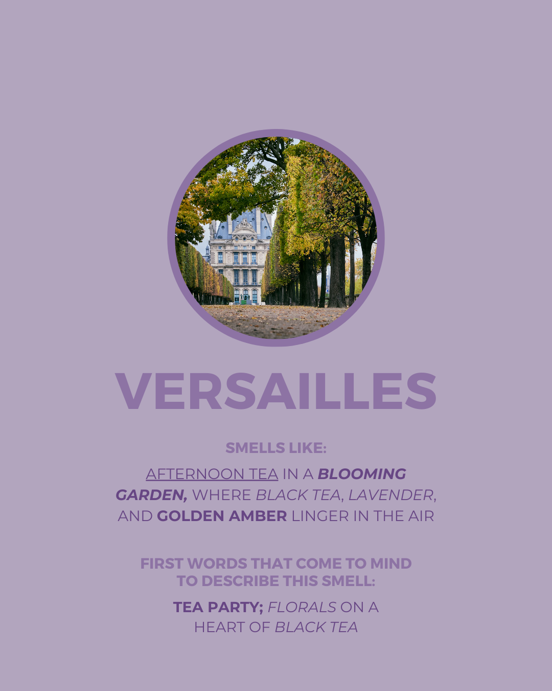 Versailles Candle