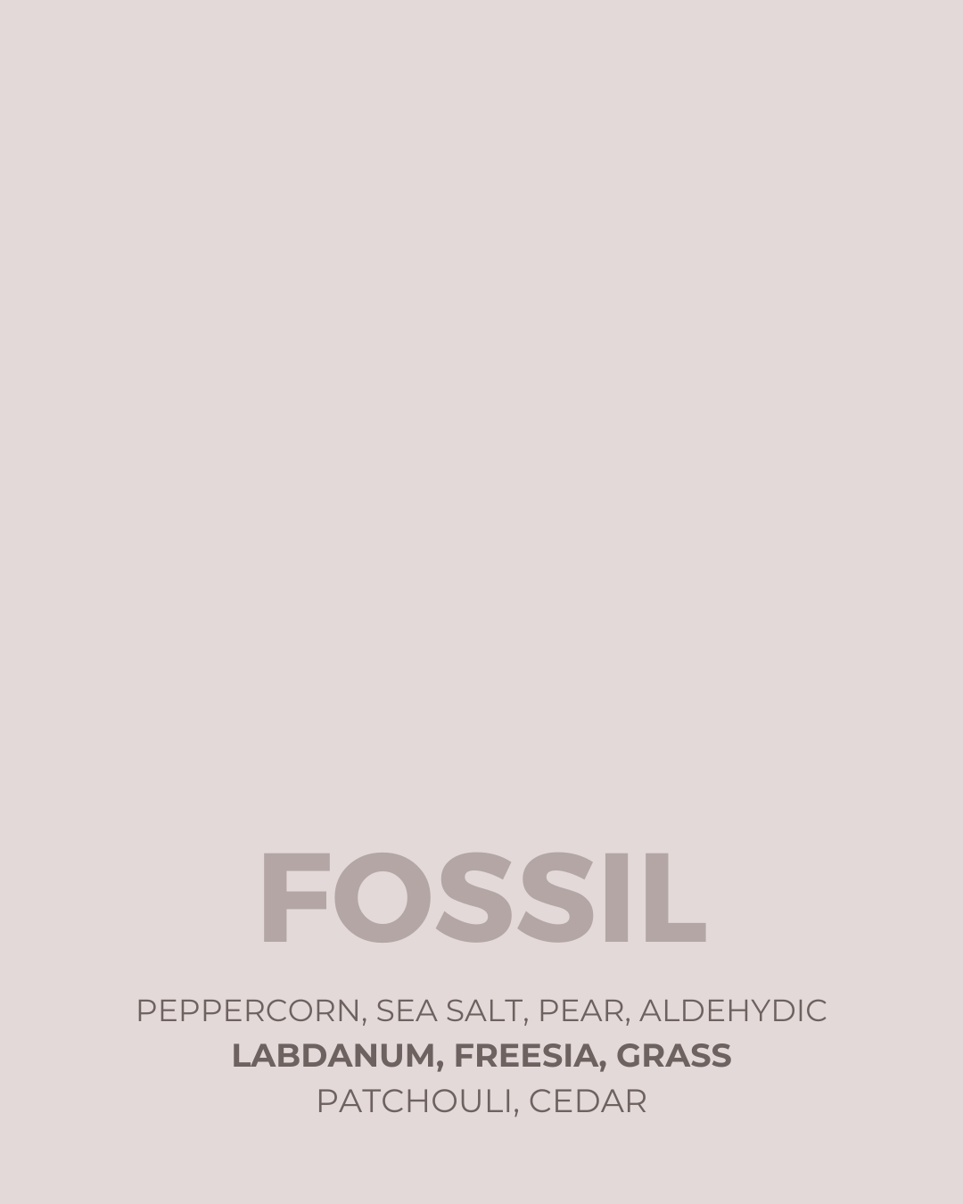 Fossil Candle