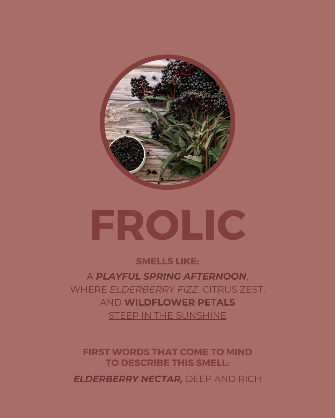 Frolic Candle