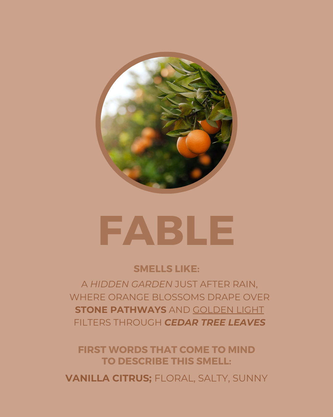 Fable Candle