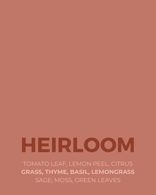 Heirloom Candle