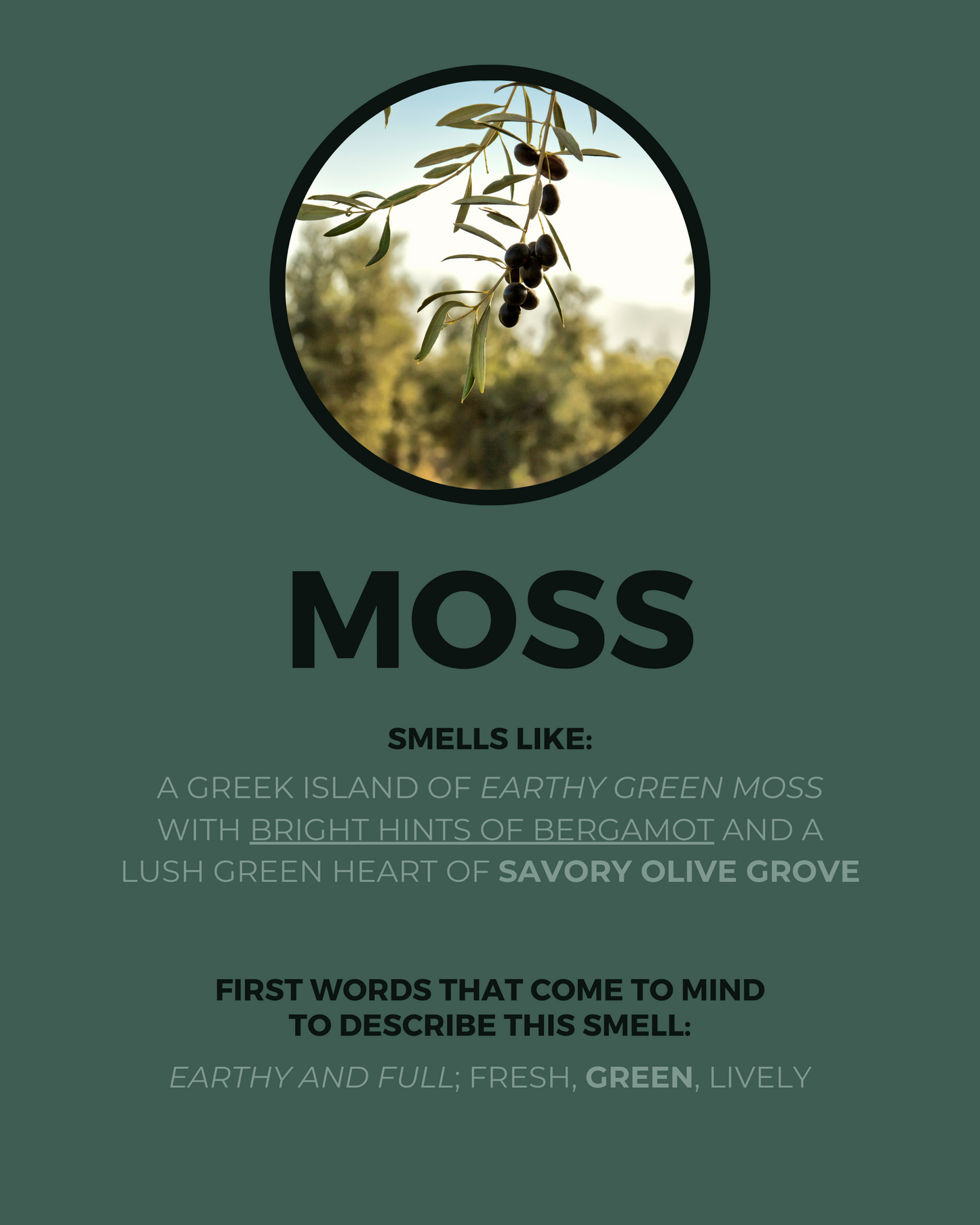 Moss Candle