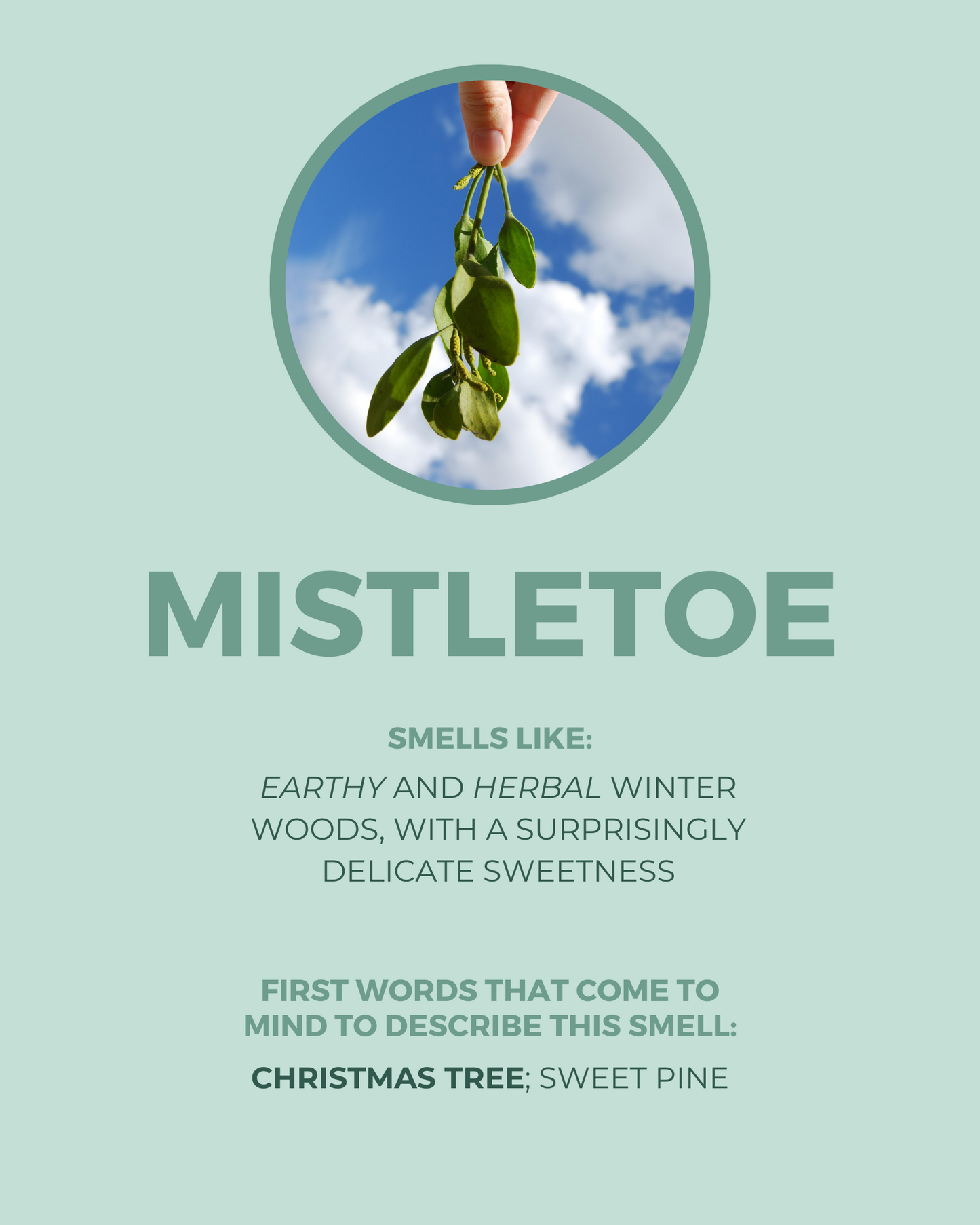 Mistletoe Candle