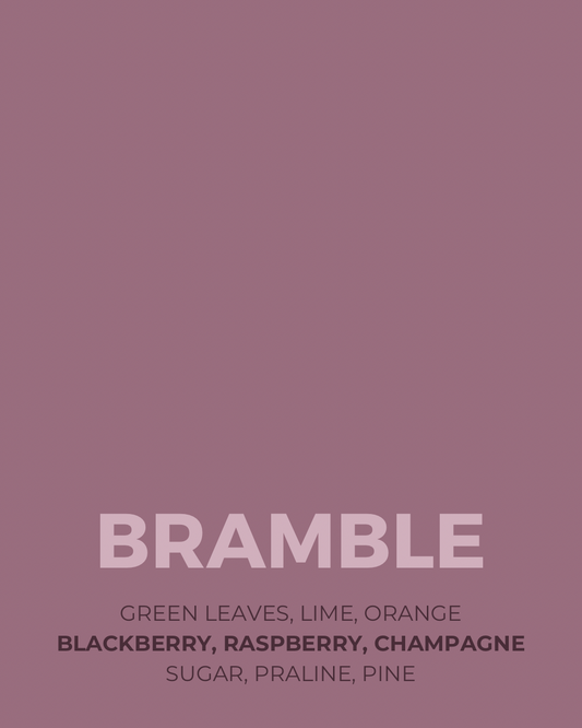 Bramble Candle